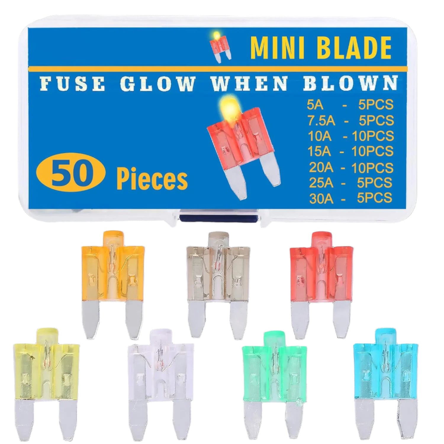 50PCS Auto Fuse