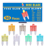 50PCS Auto Fuse